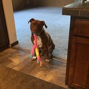 Keyrrah Jones's photo