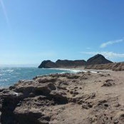 Fernando Gallardo's photo