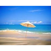 Paula Meadows's photo