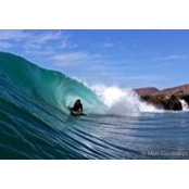 Quinn Killick's photo