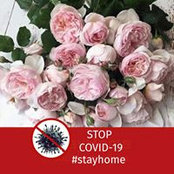 Irina Guban's photo