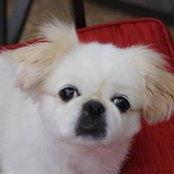Vivian Smith Johnson's photo