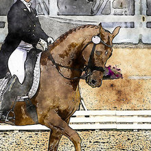 Equestrian
