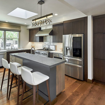Mountain View Renovation