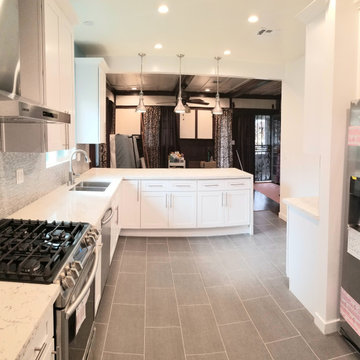 2 MONTHS!! Complete Kitchen Renovation