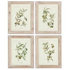 Botanical Study Leaf Berry Flower Wall Art Gold Frame Set Of 6 ~ Uttermost  33651