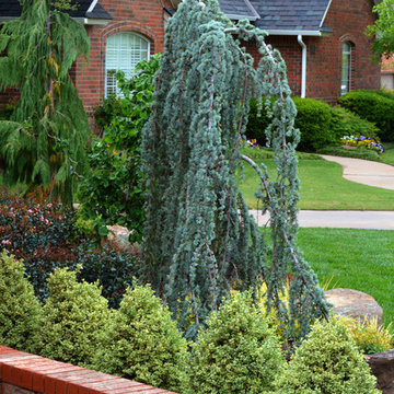 Norman, OK Landscaping Renovation
