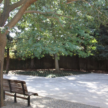 Contemporary Family Garden at Swan Park