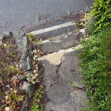 Concrete Step Restoration