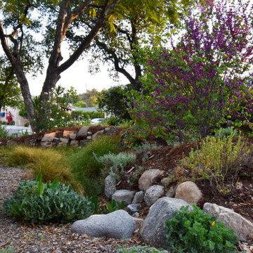 La Cañada Flintridge Resilient Homestead