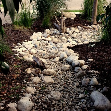 Water Wise Award Recipient