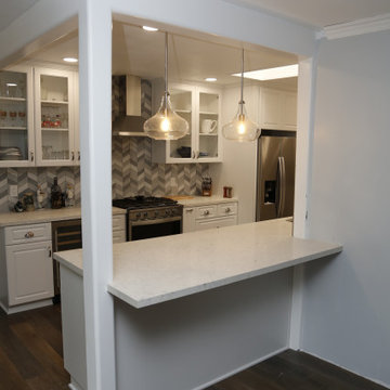 Saner Kitchen Remodel