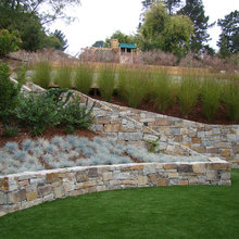 Landscape Ideas