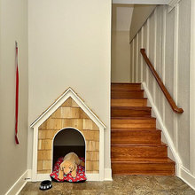 Dog House of the Month