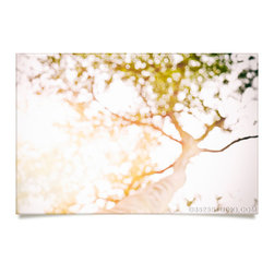 Beneath a tree Artwork - Prints And Posters