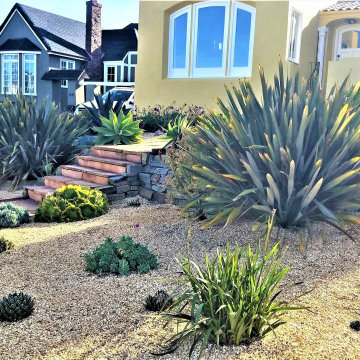 Drought Tolerant Front Yard with Mediterranean flavor