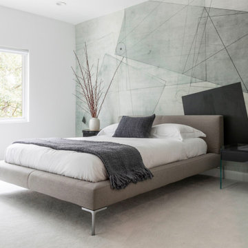 Contemporary Bedroom
