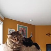 Debra Barshofsky's photo