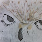 Christopher Daniels's photo