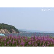 Manon Plourde's photo