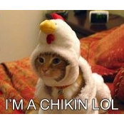 Therese Stojeba's photo