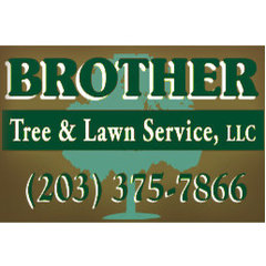 Brother Tree & Lawn Service