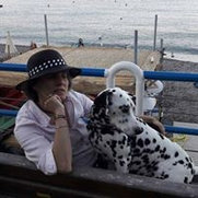 Foto di Restsuro logneo di arredi e opere d"arte