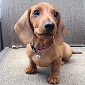 Dawn Watters's photo
