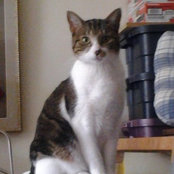 Foto von rhonda6336