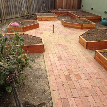 Vegetable Gardening in Mass