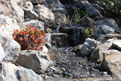 Inspiration for a landscaping in Portland.