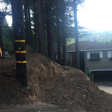 Guerneville Landscape