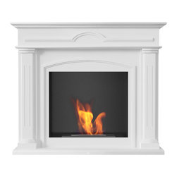 Fireplace (Bio) - Fireplaces