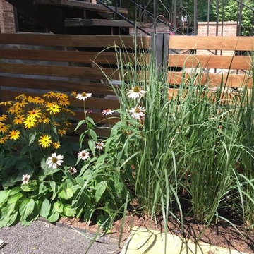 LEED Platinum Chicago Rowhome