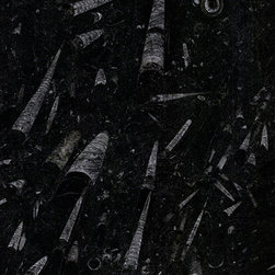 FUTAR / Nero Fossil Marble - Flooring