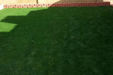 Photo of a traditional landscaping in Phoenix.