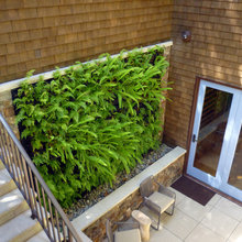 Living Wall