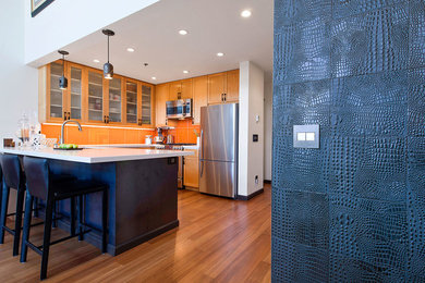 Inspiration for a modern home design remodel in San Francisco