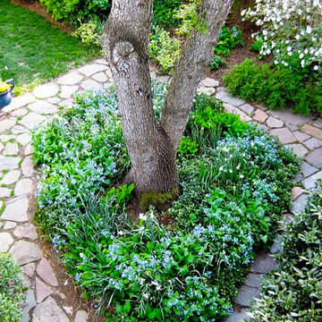 Thomas Tait Gardens - Portfolio