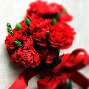 Ali Abu Samra's photo