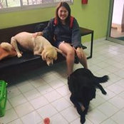 Wink Goh's photo