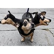 Marla Goodwyn's photo