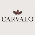 Carvalo Ltd's profile photo