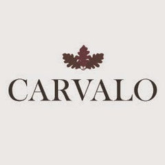 Carvalo Ltd