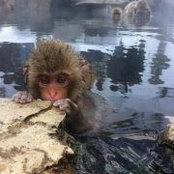Serene Leung's photo