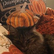 Linda Cantrell's photo