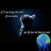 Kathy Watson's photo