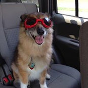 Edgar Ortiz's photo