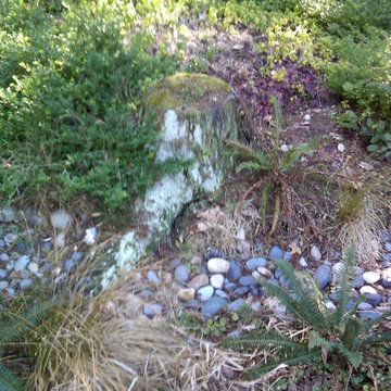 RAIN GARDENS, BIO-SWALES, GREEN DRAINAGE SOLUTIONS