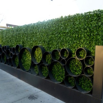Artificial Hedge Products - Residential